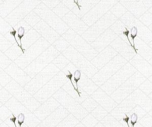 Cotton 1636 1