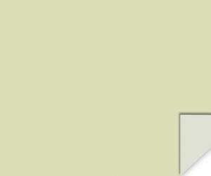 Light Green N29