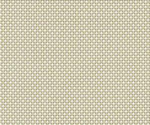 Perforated T3002