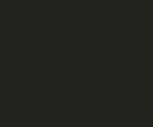 Black 7009