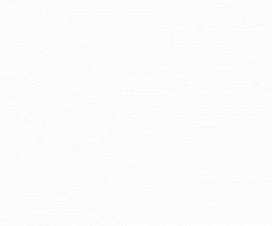 Aeroblock 6044 White White
